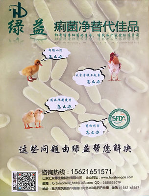 探索痢菌凈替代品與呼吸道栓塞防治策略 畜牧漁業(yè)飼料銷售新視角