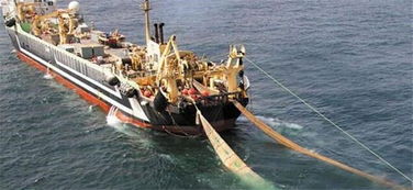 探秘‘海洋巨獸’ 造價四億的世界最大漁船，萬噸漁獲背后的畜牧漁業(yè)飼料銷售鏈