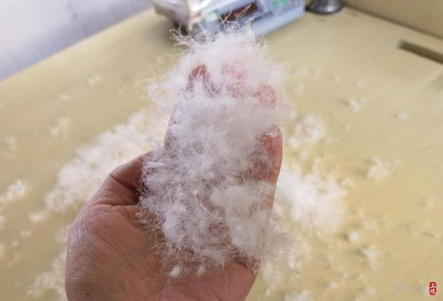 700元與7000元的羽絨服有什么區(qū)別 價(jià)格差異背后,還有產(chǎn)業(yè)發(fā)展之問(wèn)