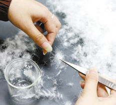 喜迎2013蕭山兩會(huì)譜寫文明幸福新篇章