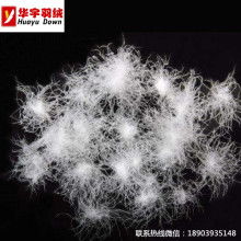 安新縣華聯(lián)羽絨制品廠 羽絨與羽毛制品的專業(yè)加工