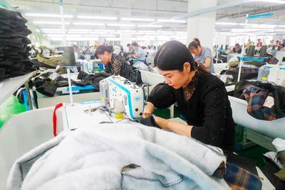 羽絨產業助力光山脫貧致富 年產值超70億的騰飛之路