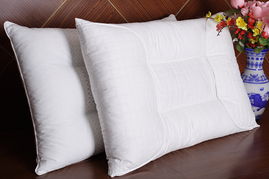 羽翼生輝，暖動蕭山 第十五屆中國羽絨制品及服裝服飾博覽會暨首屆蕭山國際羽絨節(jié)啟幕